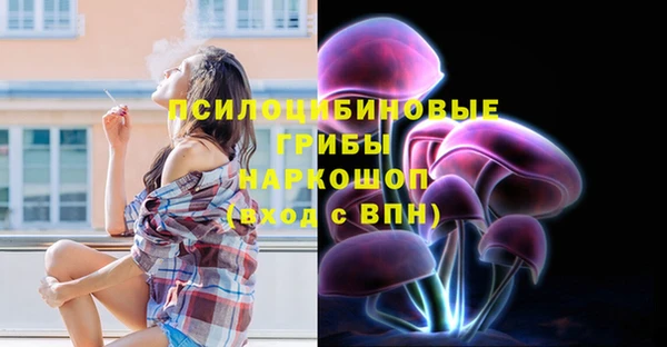 СК Алексин