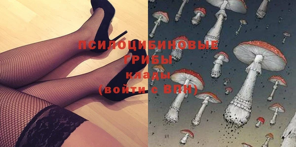 СК Алексин