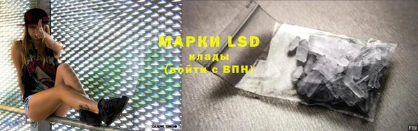 мяу мяу мука Абаза
