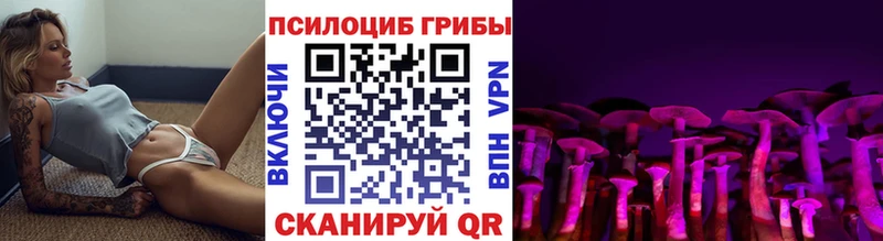 сколько стоит  MEGA tor  Псилоцибиновые грибы Cubensis  Касли 